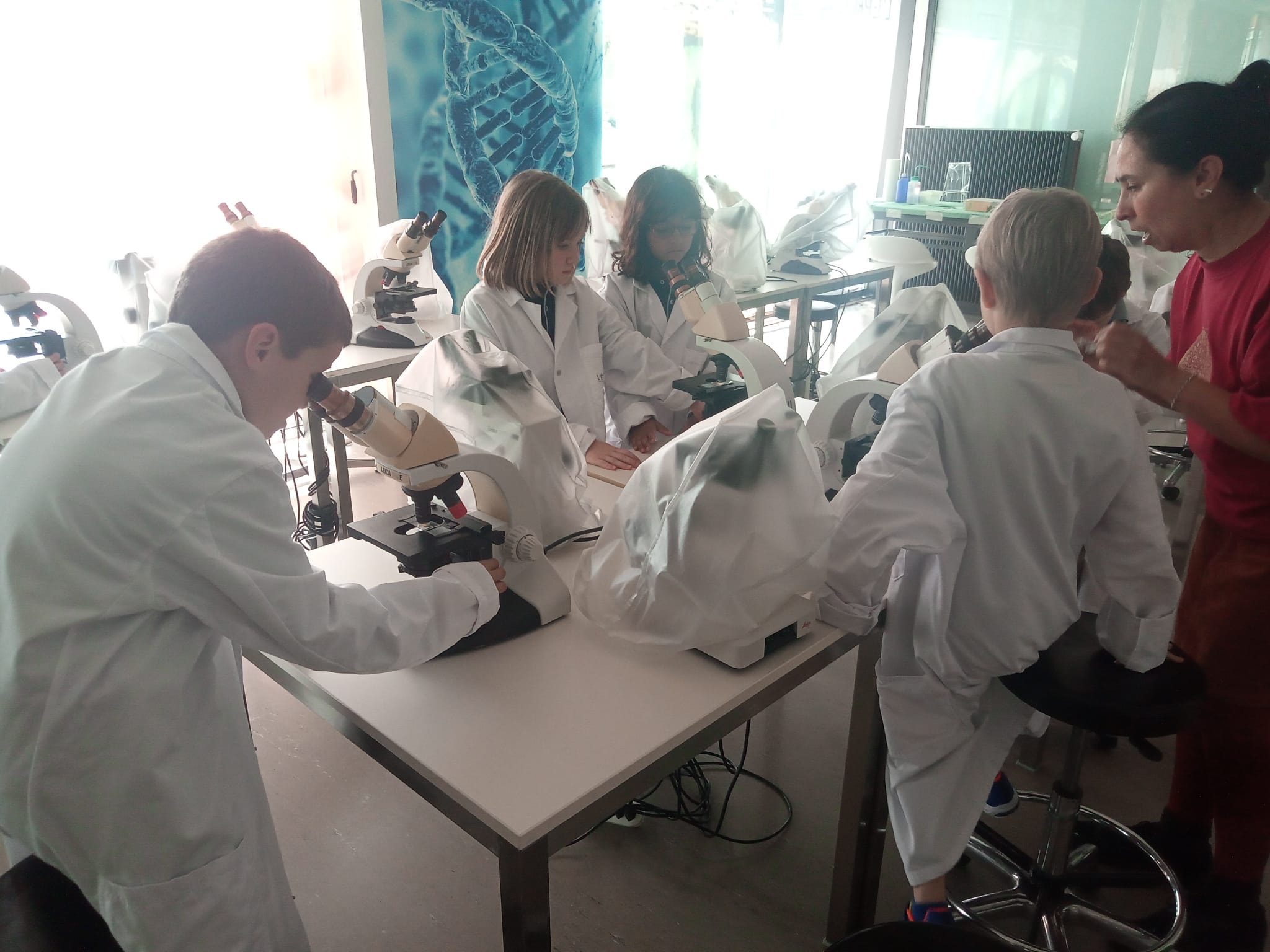 Atelier eaux usées