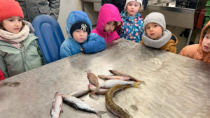 À la rencontre des poissons du Lac - Séjour des 1A