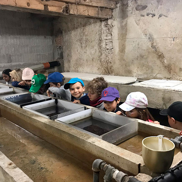 Enfants observant des bassins d’élevage de poissons dans une pisciculture.