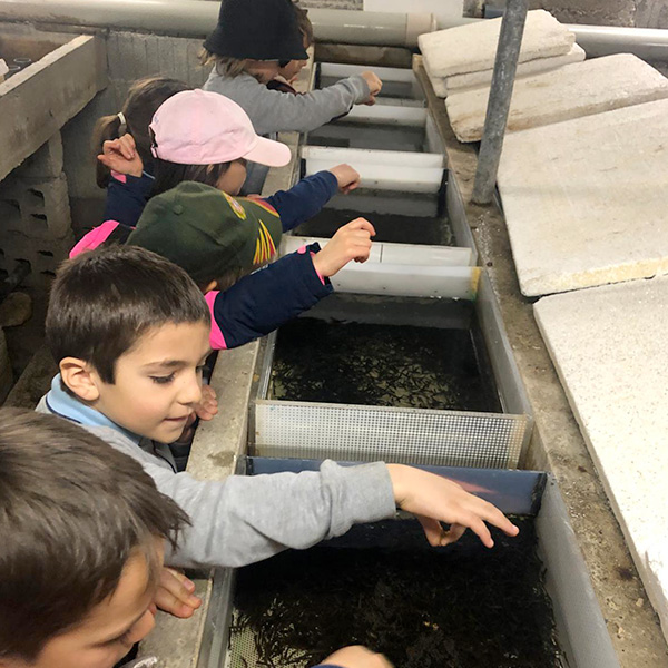 Les élèves ont eu la chance de nourrir les poissons et de mieux comprendre les soins apportés aux espèces élevées dans la pisciculture.