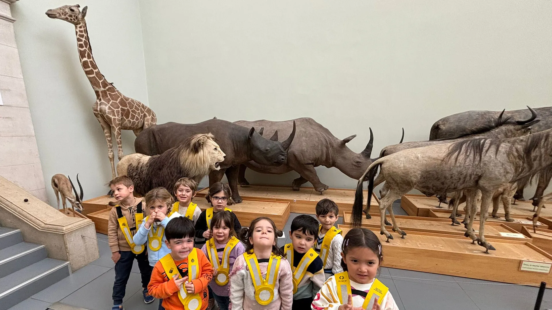 palais-rumine-vivalys-nanosphere-enfants-animau01