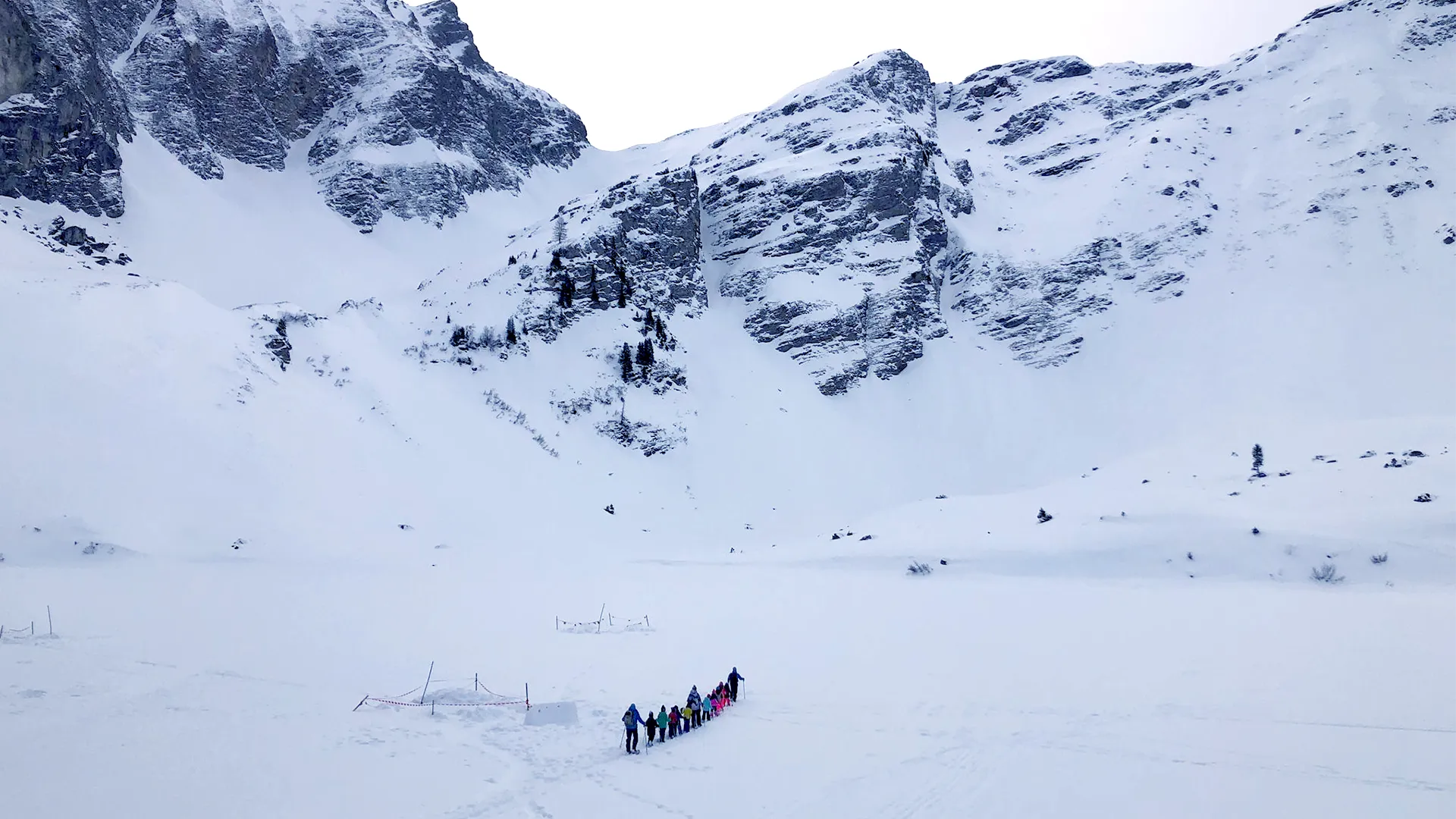 00-Cover_Vivalys-NL_30-01-2026_00