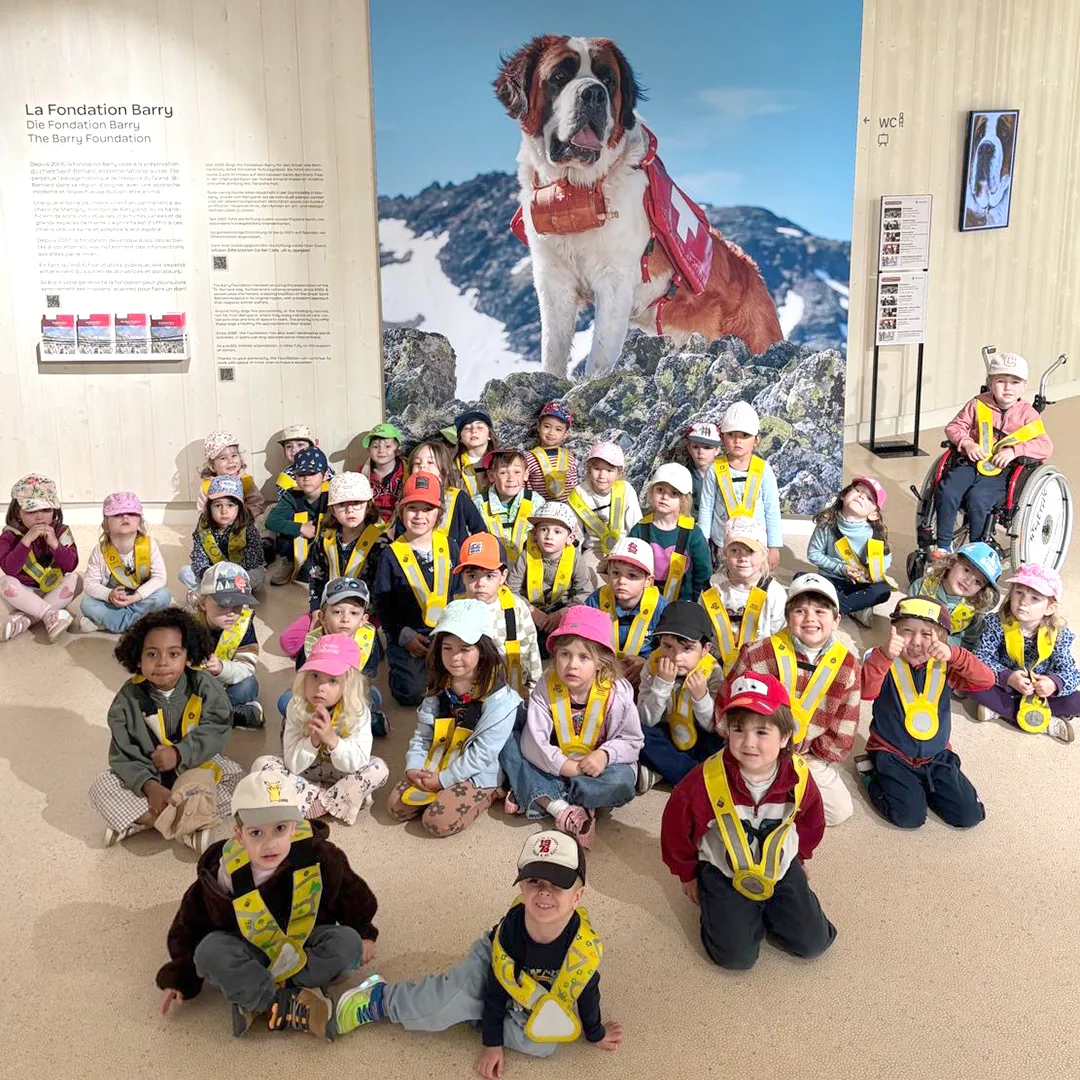 vivalys-nanosphere-sortie-barryland-saint-bernard-ecublens-12